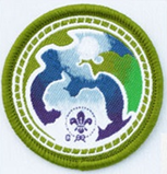 World Scout Environment Badge_gn.jpg