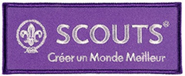 World Scout Embroidered Brand_es.jpg