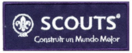 World Scout Embroidered Brand_fr.jpg