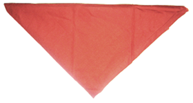 DPSG Halstuch 1957-1978 Wlflinge_rost-orange.jpg