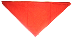 DPSG Halstuch 1957-1978 Wlflinge_rost-orange.jpg