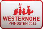 2014pin.jpg