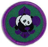 World Scout Conservation Award_gn.jpg